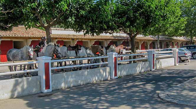 location mobil home Aigues Mortes